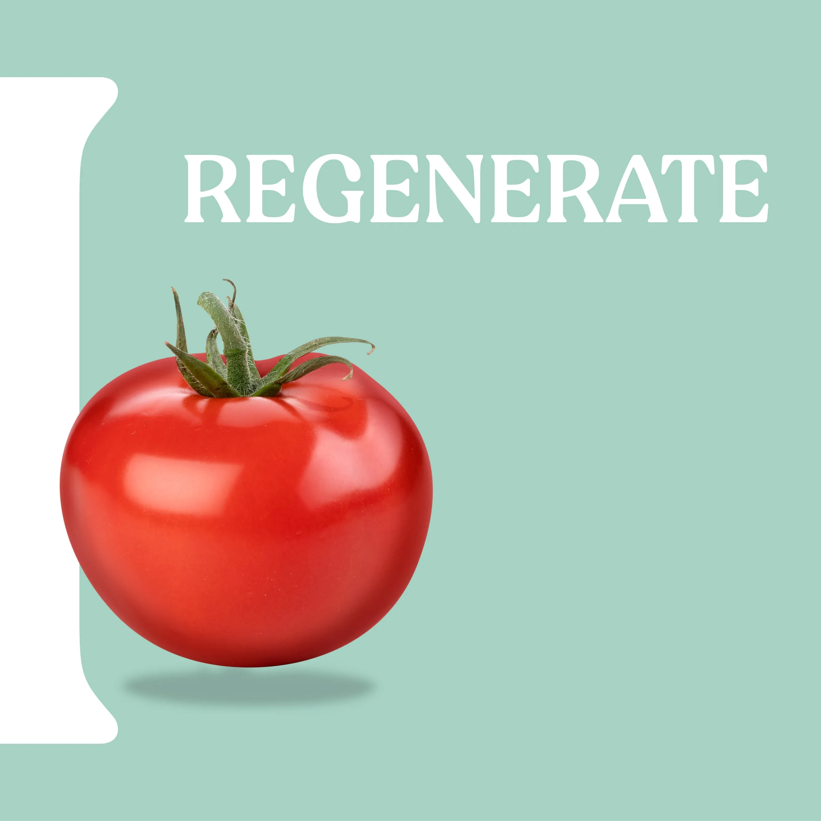 Itinera Regenerating Body Wash (370 ml)
